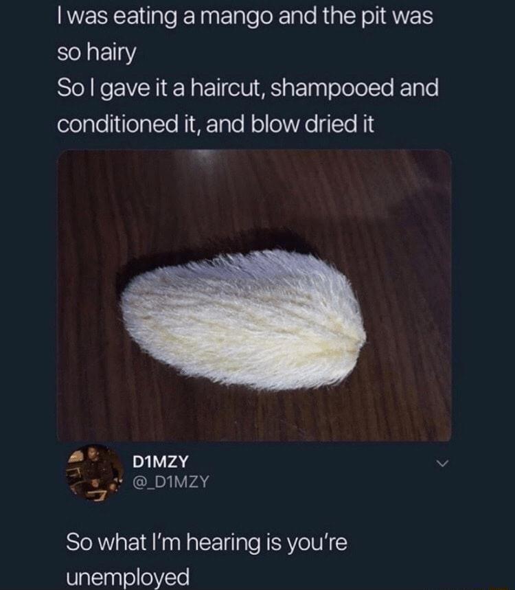 RESCE e TN Tl le Rig R o I QNE so hairy So gave it a haircut shampooed and lelglelIilelalle NIoTalo HollolVRe qTTe Hid 2 pimzy i DIMZY So what Im hearing is youre unemployed