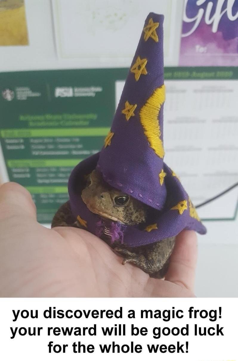 you discovered a magic frog your reward will be good luck for the whole week