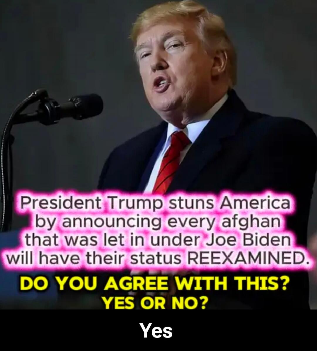 President Trump stuns America by announcing every afghan that was let in under Joe Biden will have their status REEXAMINED. DO YOU AGREE WITH THIS? YES OR NO? Yes