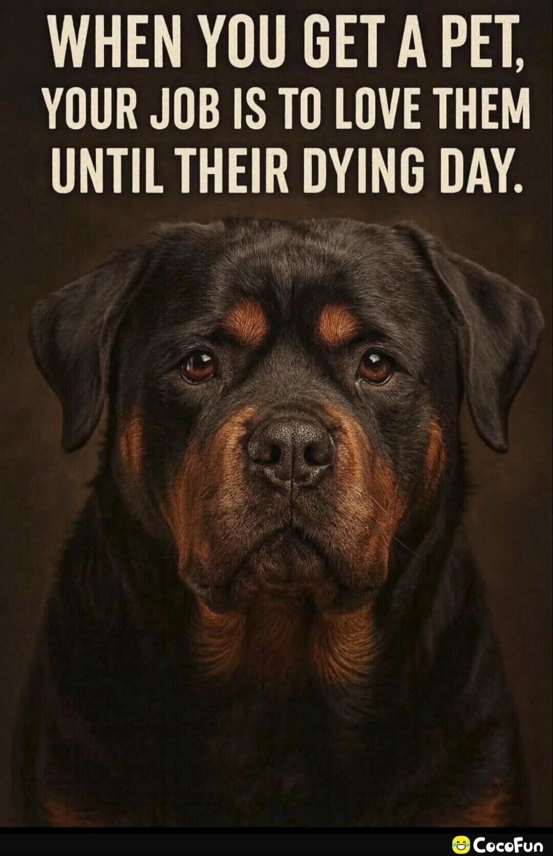 WHEN YOU GET A PET, YOUR JOB IS TO LOVE THEM UNTIL THEIR DYING DAY.