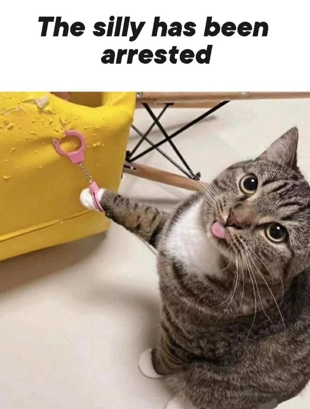 The silly has been arrested