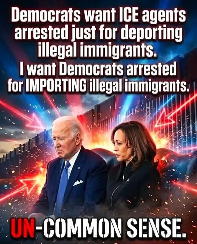 Democrats want ICE agents arrested just for deporting illegal immigrants. I want Democrats arrested for IMPORTING illegal immigrants. UN-COMMON SENSE.