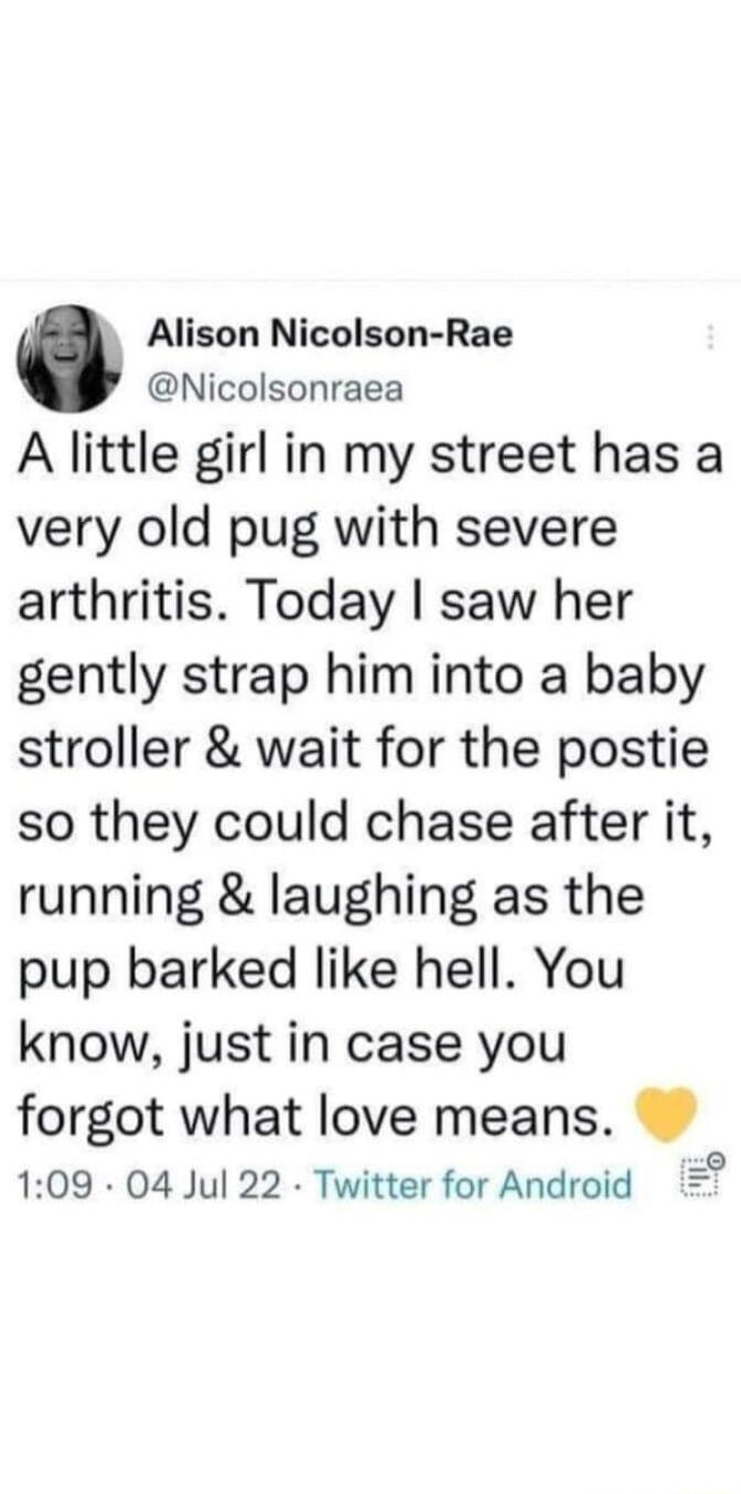 Alison Nicolson Rae Nicolsonraea A little girl in my street has a very old pug with severe arthritis Today saw her gently strap him into a baby stroller wait for the postie so they could chase after it running laughing as the pup barked like hell You know just in case you forgot what love means 109 04 Jul 22 Twitter for Android 5