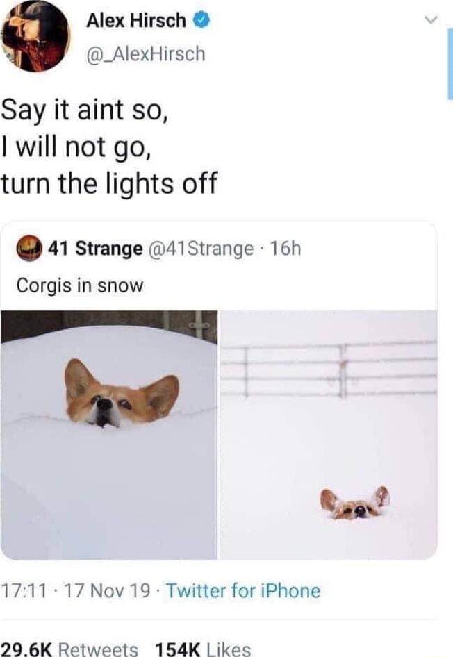 Alex Hirsch 3 _AlexHirsch Say it aint so will not go turn the lights off 41 strange 41Strange 16h Corgis in snow P P Rl 1711 17 Nov 19 Twitter for iPhone 20 6K Retweets 154K ikes