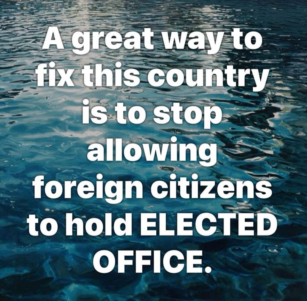 A great way to fix this country is to stop allowing foreign citizens to hold ELECTED OFFICE.