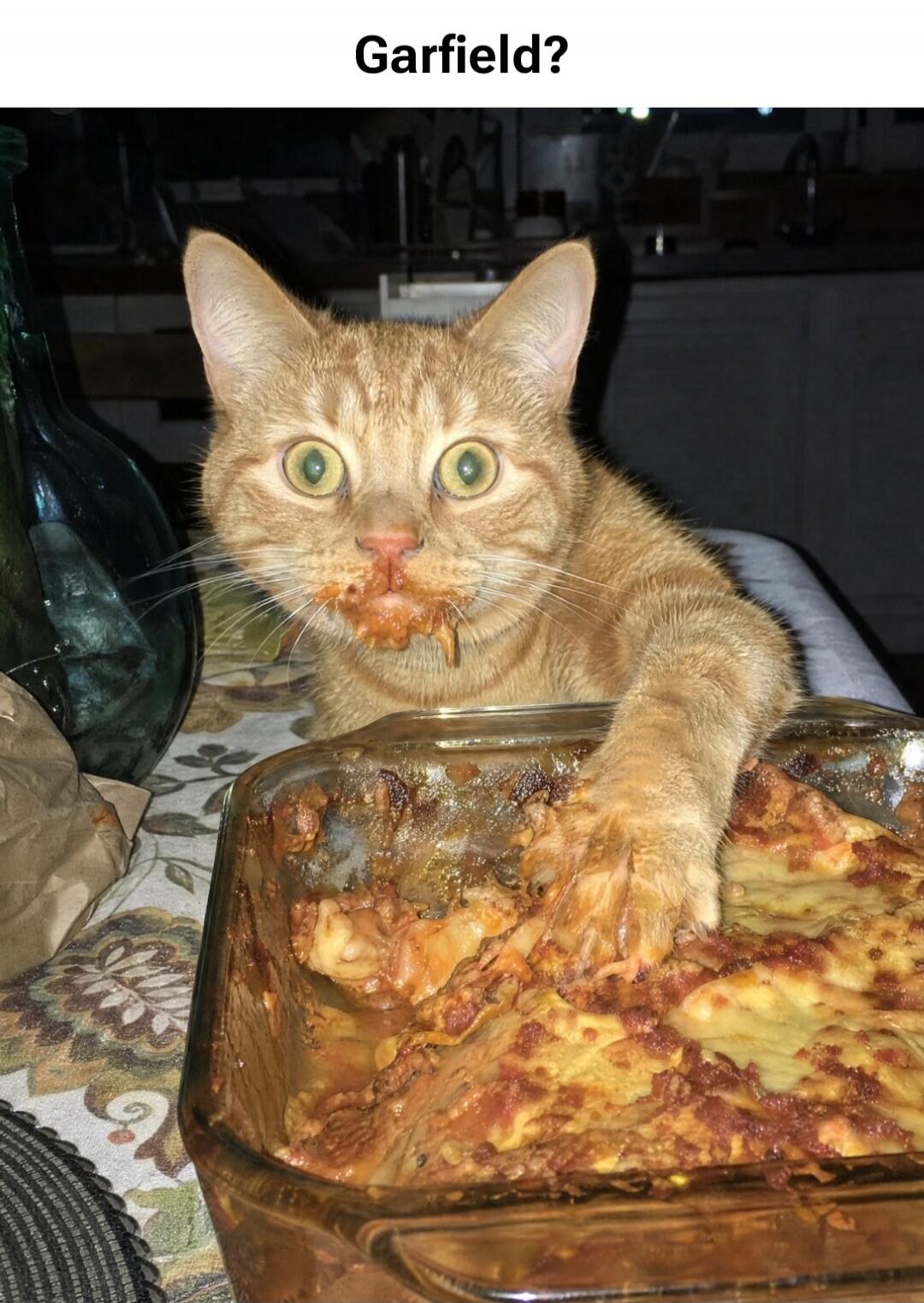 Garfield?