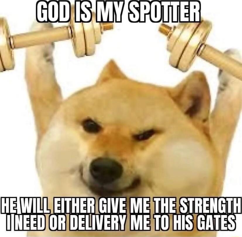 HEWILLAEITHERIGIVE ME THSHEGTH INEEDORIDELIVERYIMEATOHISGATES