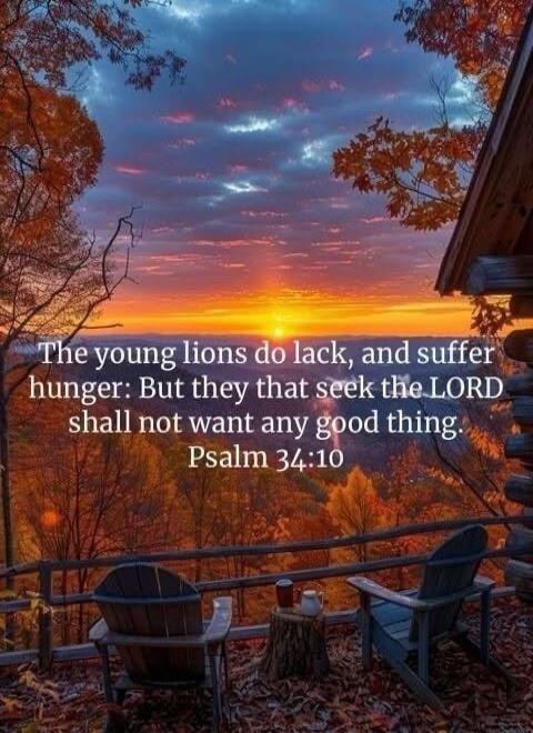 The young lions do lack, and suffer hunger: But they that seek the LORD shall not want any good thing. Psalm 34:10