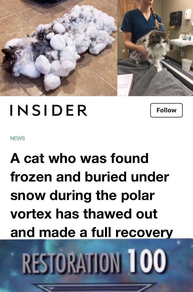 NEWS A cat who was found frozen and buried under snow during the polar vortex has thawed out and made a full recove