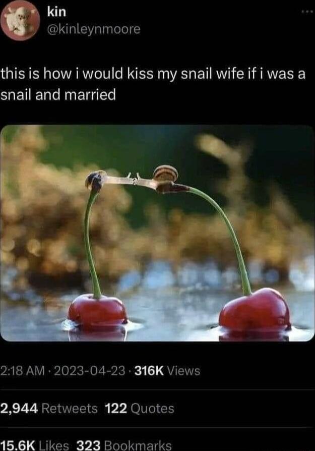 kin this is how i would kiss my snail wife if i was a snail and married pREFNYBIovR SRR R QYT 2944 Retweets 122 Quotes 15 6K Likes 323 Bookmarks