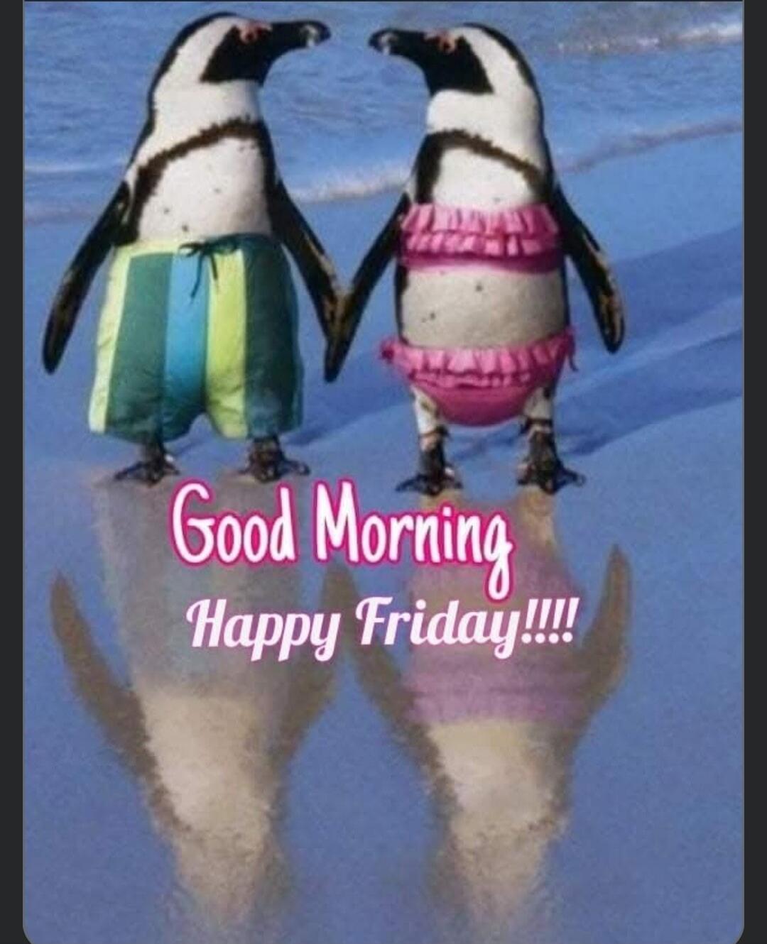 Good Morning Happy Friday!!!!