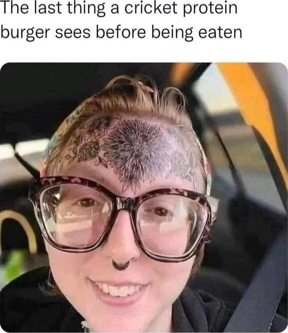 e last thing a cricket protein burger sees before being eaten