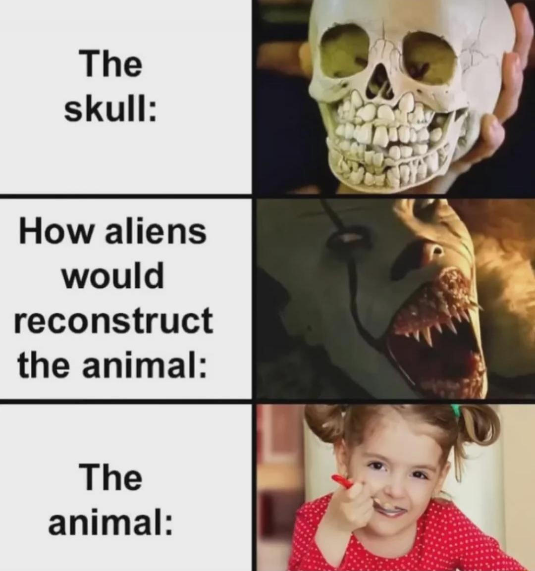 The skull:
[image of skull]

How aliens would reconstruct the animal:
[image of a distorted creature]

The animal:
[image of a smiling child]