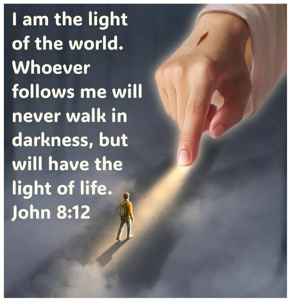 I am the light of the world. Whoever follows me will never walk in darkness, but will have the light of life. John 8:12