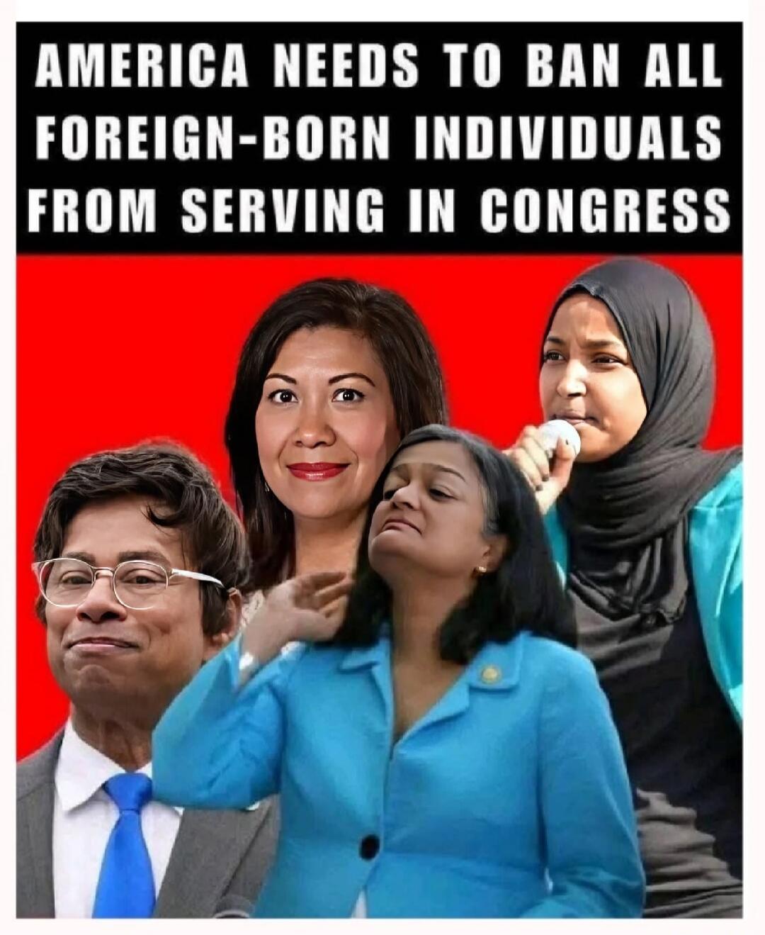 AMERICA NEEDS TO BAN ALL FOREIGN-BORN INDIVIDUALS FROM SERVING IN CONGRESS