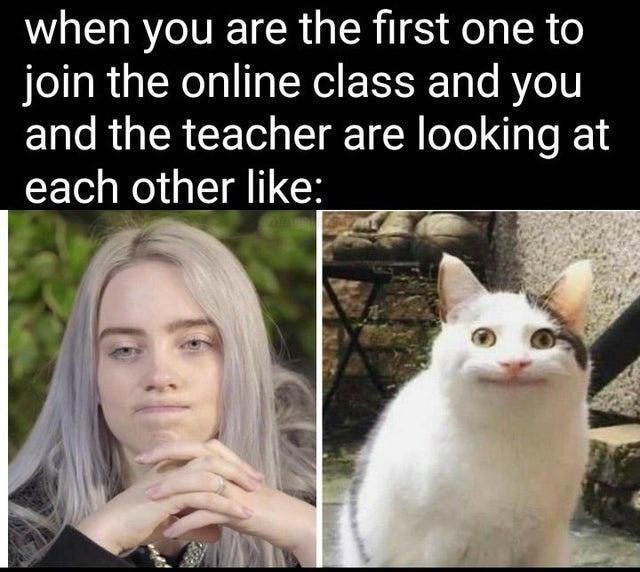 when you are the first one to join the online class and you and the teacher are looking at each other like