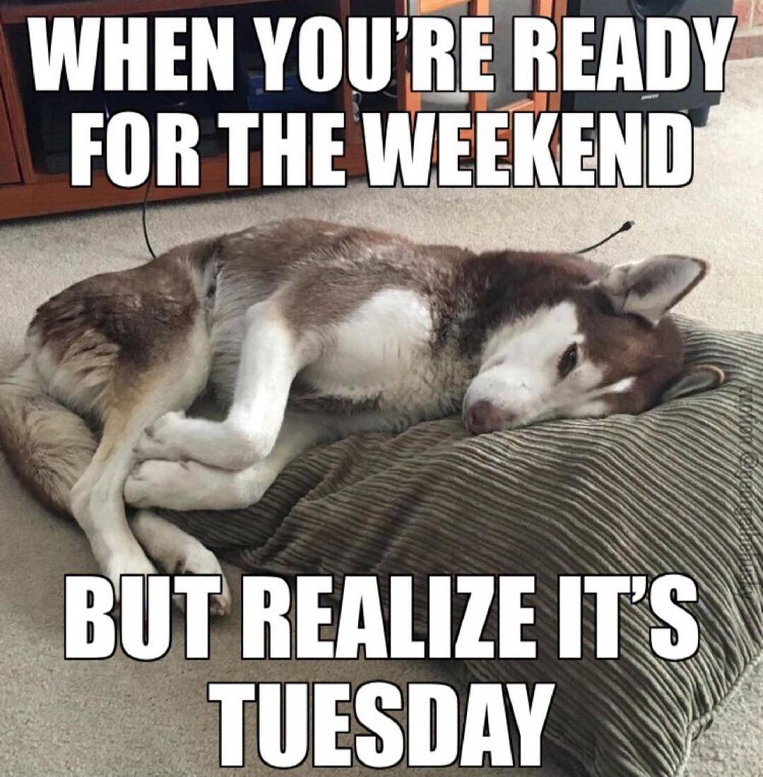 WHEN YOU'RE READY FOR THE WEEKEND BUT REALIZE IT'S TUESDAY