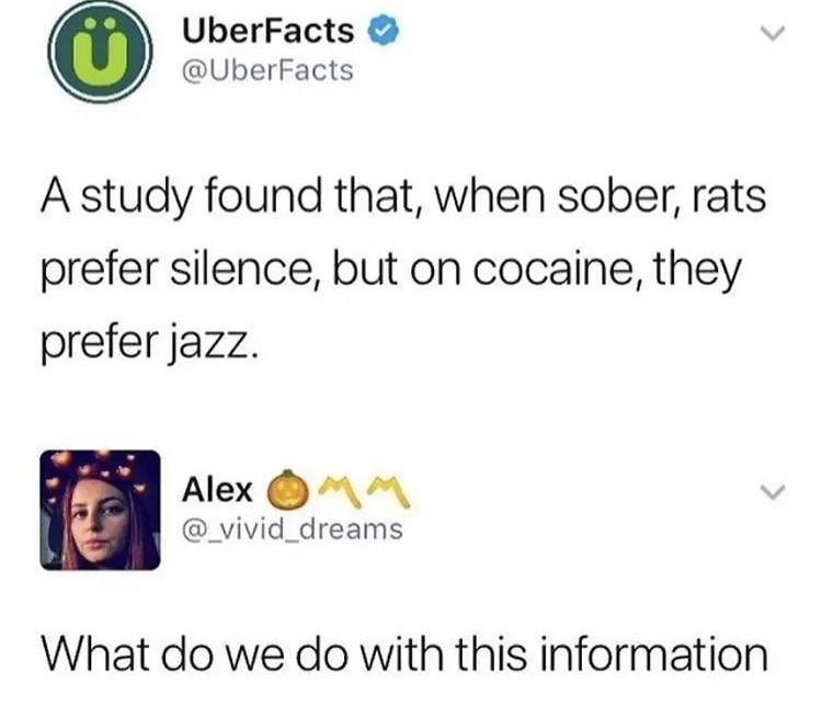 UberFacts UberFacts A study found that when sober rats prefer silence but on cocaine they prefer jazz S Alex MM _vivid_dreams What do we do with this information