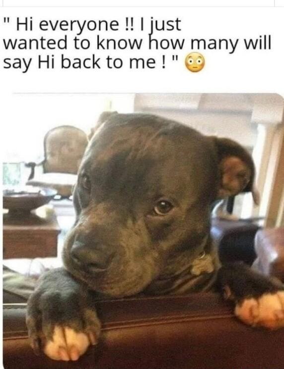 Hi everyone just wanted to know how many will say Hi back tome