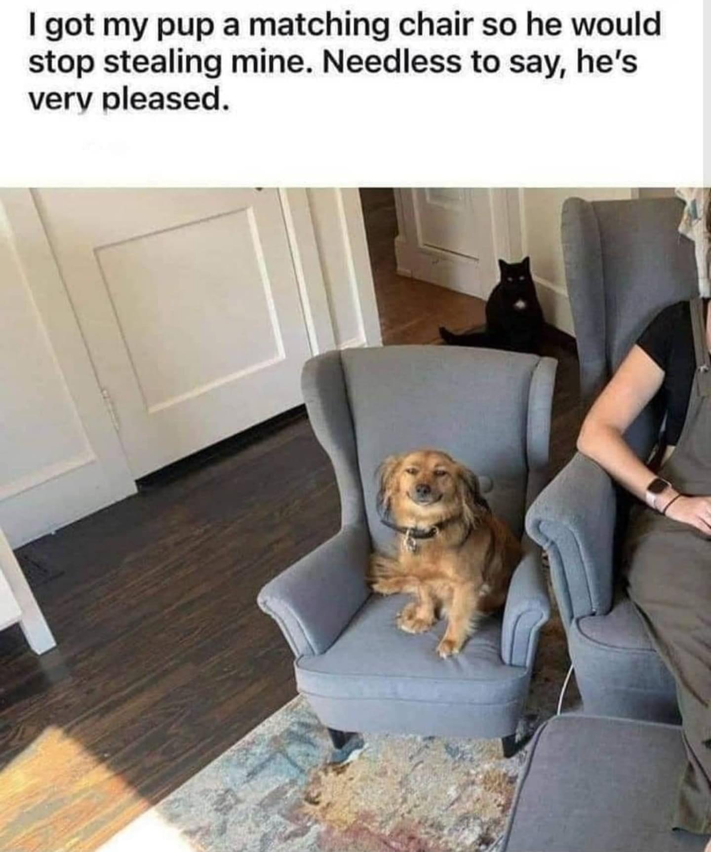 got my pup a matching chair so he would stop stealing mine Needless to say hes very pleased
