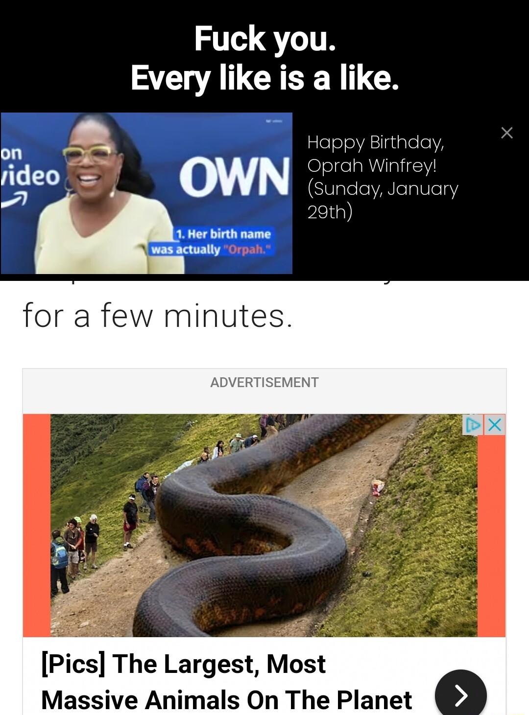 Fuck you Every like is a like Pics The Largest Most Massive Animals On The Planet