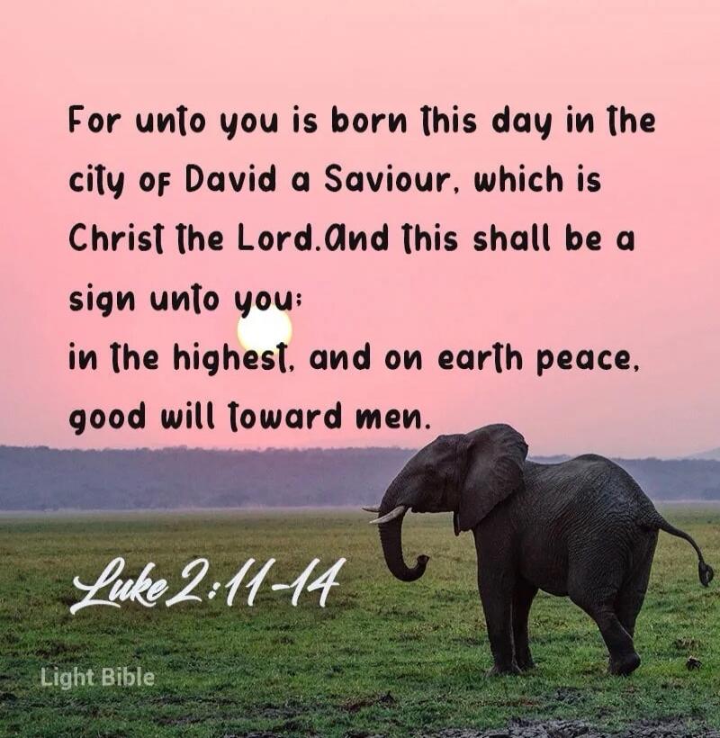 For unto you is born this day in the city of David a Saviour, which is Christ the Lord. And this shall be a sign unto you: in the highest, and on earth peace, good will toward men. Luke 2:11-14 Light Bible