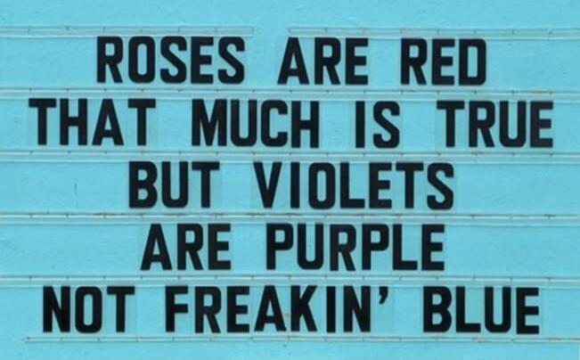 ROSES ARE RED THAT MUCH IS TRUE BUT VIOLETS ARE PURPLE NOT FREAKIN' BLUE