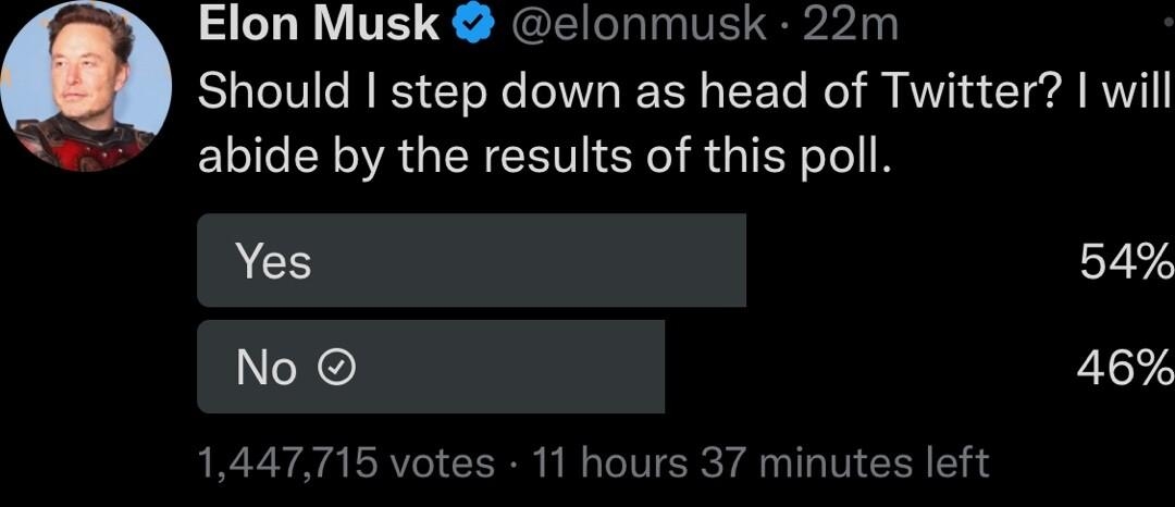 Elon Musk elonmusk 22m Should step down as head of Twitter will L GAGERENVIEL RGN ACS 54 Xe 46 1447715 votes 11 hours 37 minutes left