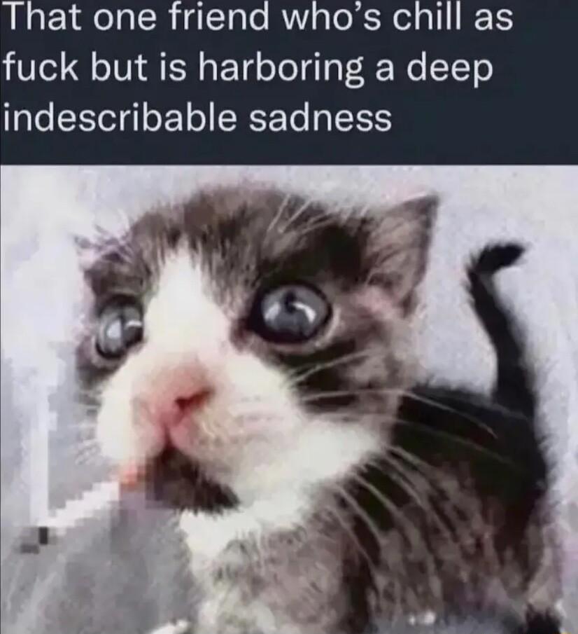 That one friend whos chill as fuck but is harboring a deep indescribable sadness