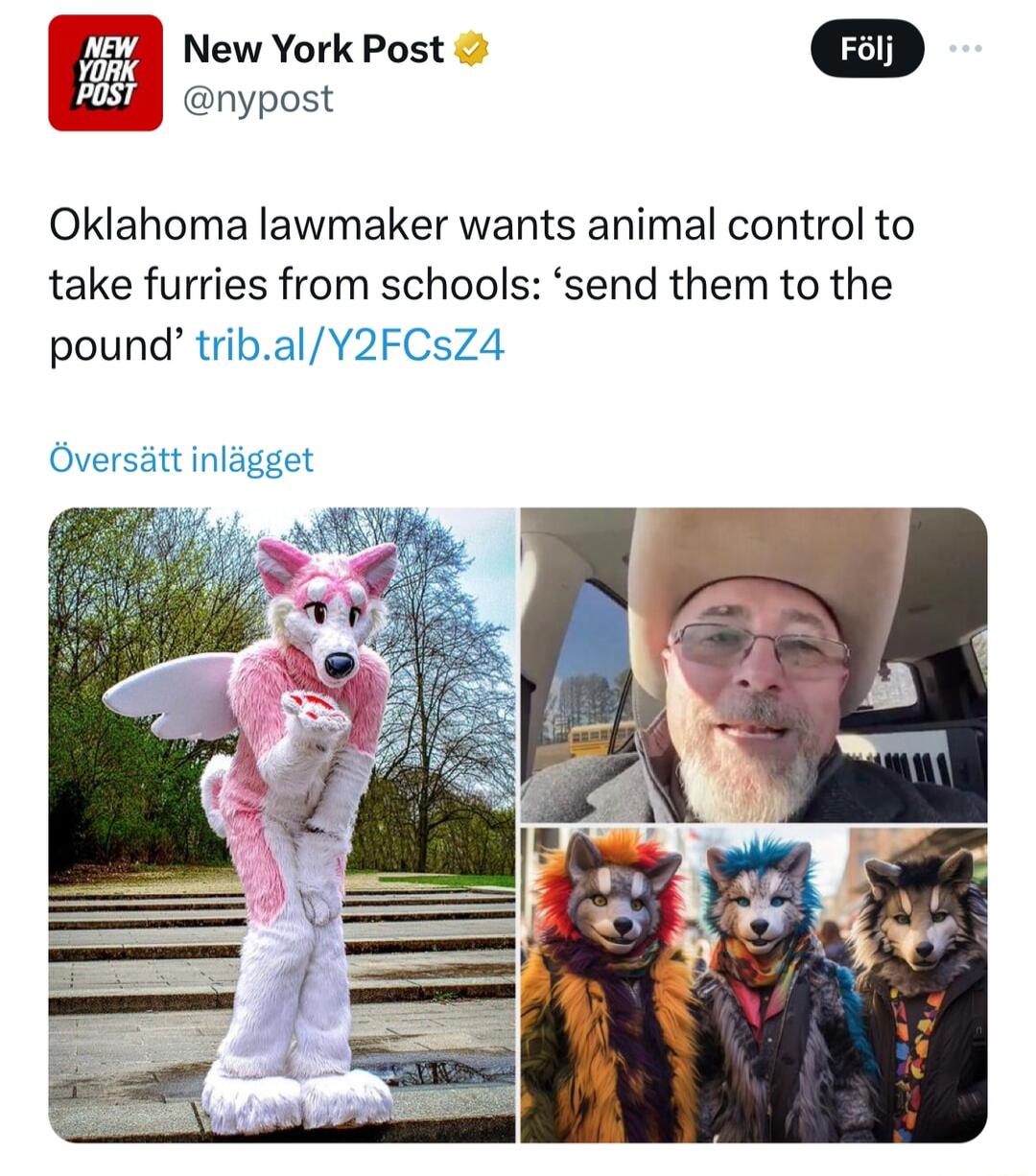 7 New York Post S cvpost Oklahoma lawmaker wants animal control to take furries from schools send them to the pound tribalY2FCsZ4 Oversiitt inligget