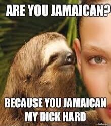 ARE YOU JAMAICAN? BECAUSE YOU JAMAICAN MY DICK HARD