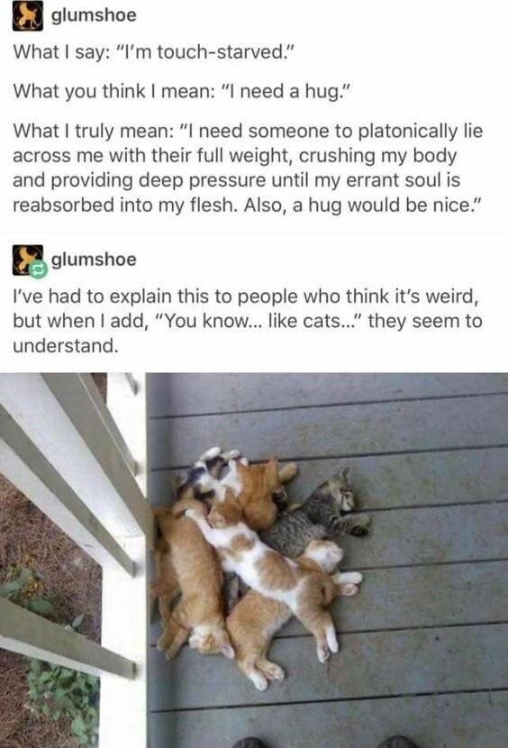 glumshoe What say Im touch starved What you think mean I need a hug What truly mean I need someone to platonically lie across me with their full weight crushing my body and providing deep pressure until my errant soul is reabsorbed into my flesh Also a hug would be nice nglumshoe Ive had to explain this to people who think its weird but when add You know like cats they seem to understand A