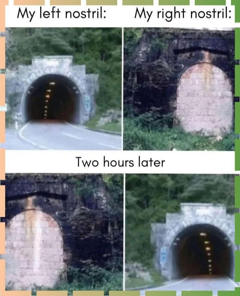 My left nostril My right nostril