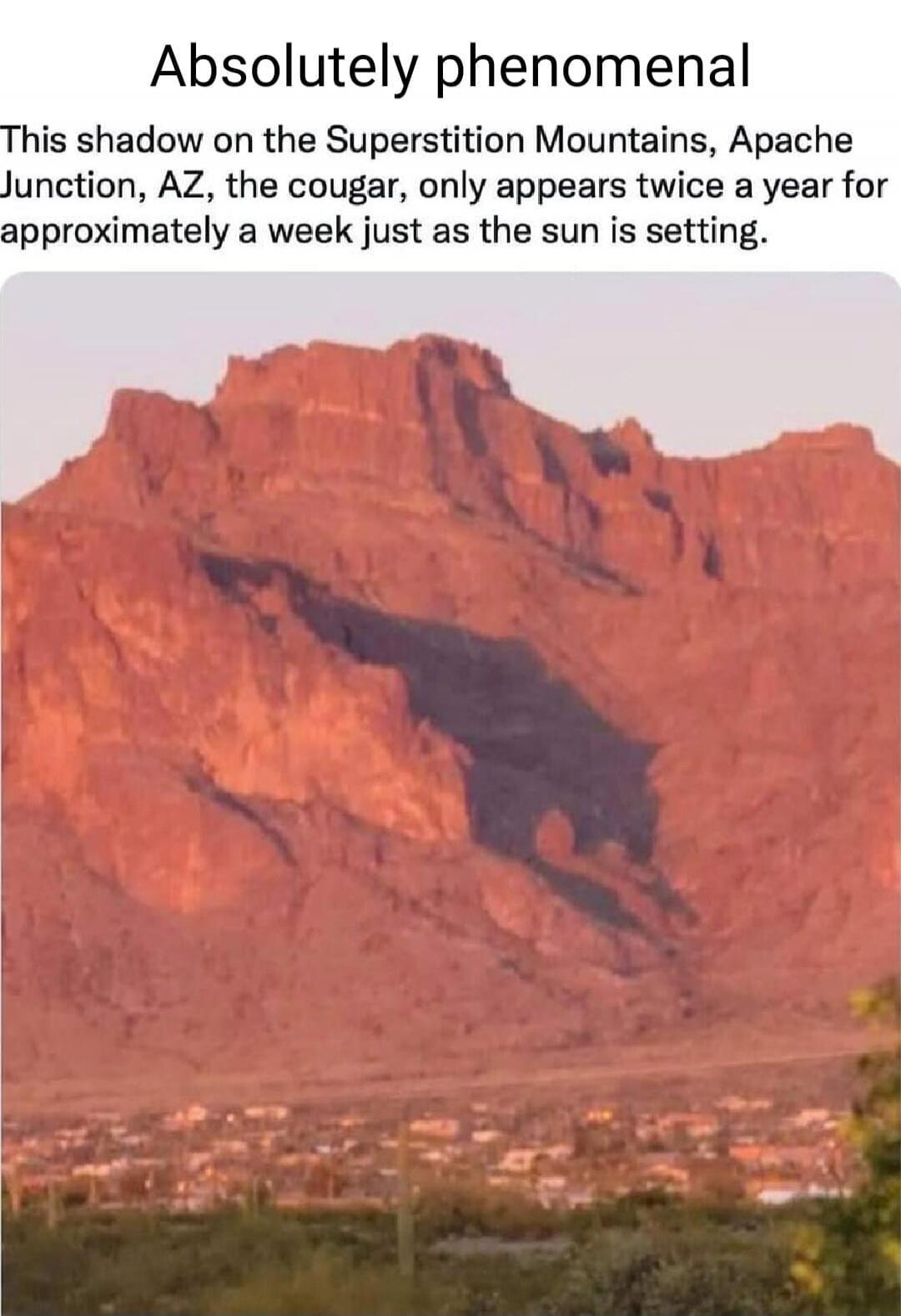 Absolutely phenomenal. This shadow on the Superstition Mountains, Apache Junction, AZ, the cougar, only appears twice a year for approximately a week just as the sun is setting.