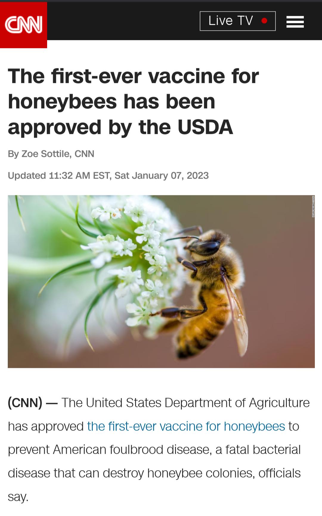 The first ever vaccine for honeybees has been approved by the USDA By Zoe Sottile CNN Updated 1132 AM EST Sat January 07 2023 CNN The United States Department of Agriculture has approved the first ever vaccine for honeybees to prevent American foulbrood disease a fatal bacterial disease that can destroy honeybee colonies officials say