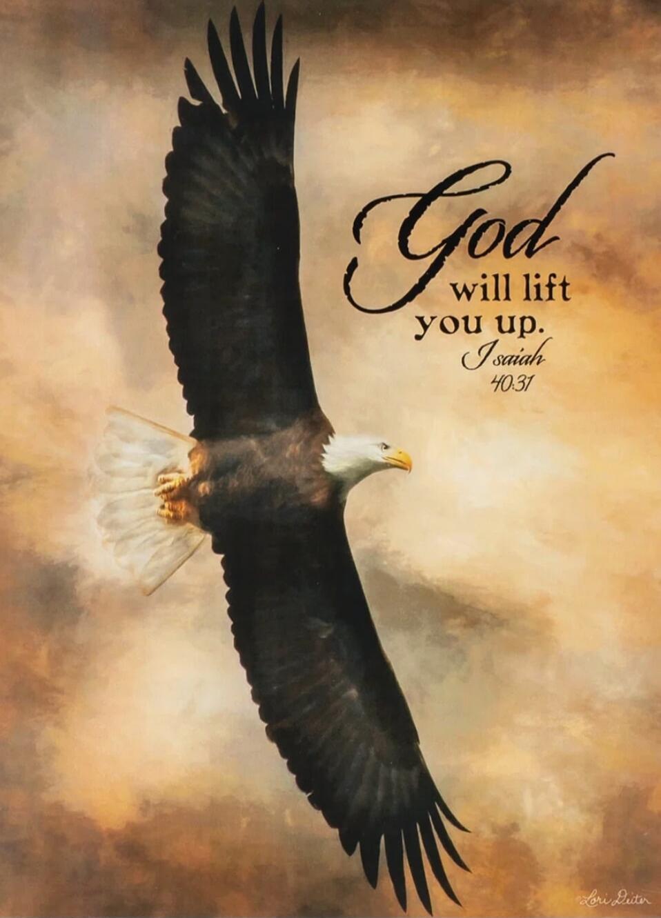 God will lift you up. Isaiah 40:31. Lori Deiter.