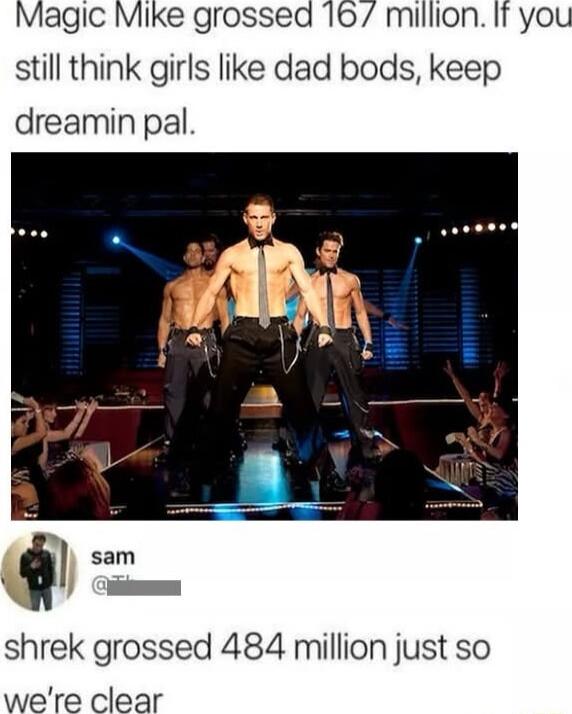 Magic Mike grossea 16 million If you still think girls like dad bods keep dreamin pal shrek grossed 484 million just so were clear