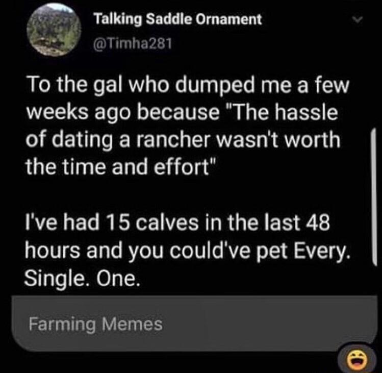 Timha281 Talking Saddle Ornament BB QIR EIRN TN Vo Tts iy TERER 50T weeks ago because The hassle of dating a rancher wasnt worth the time and effort Ive had 15 calves in the last 48 hours and you couldve pet Every Single One Farming Memes