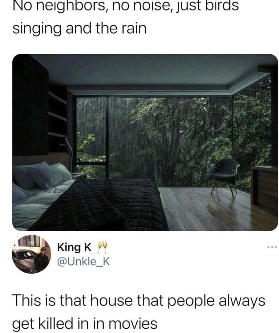 NO Neignnors No Nolse JUst bIrds singing and the rain KingK W Unkle_K This is that house that people always get killed in in movies