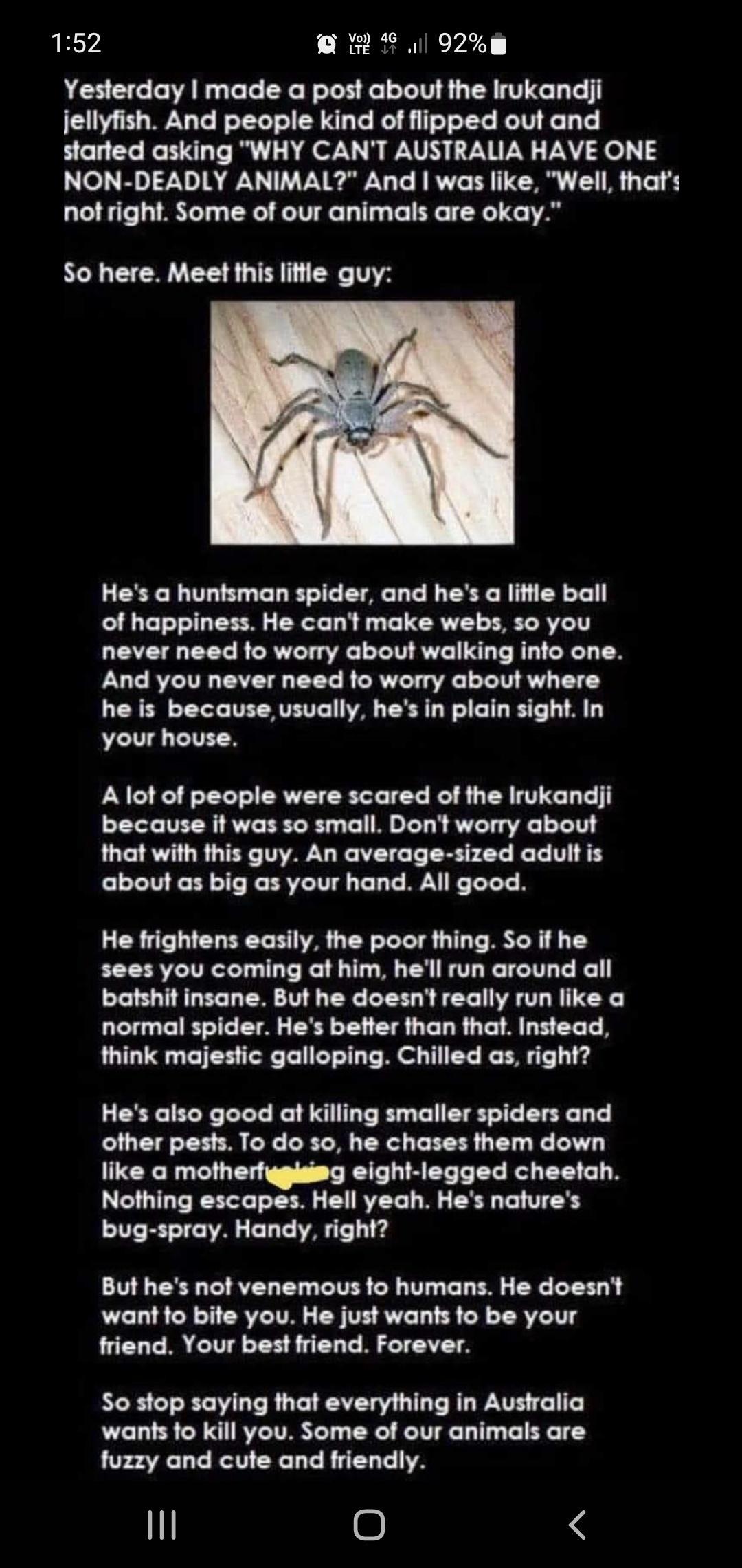 152 o 92m Yesterday made a post about the Irukandiji jellyfish And people kind of flipped out and started asking WHY CANT AUSTRALIA HAVE ONE NON DEADLY ANIMAL And was like Well that not right Some of our animals are okay 5o here Meet this litle guy Hes huntsman spider and hes a lttie ball of happiness He cant make webs o you never need fo worry about walking info one And you never need fo worry ab