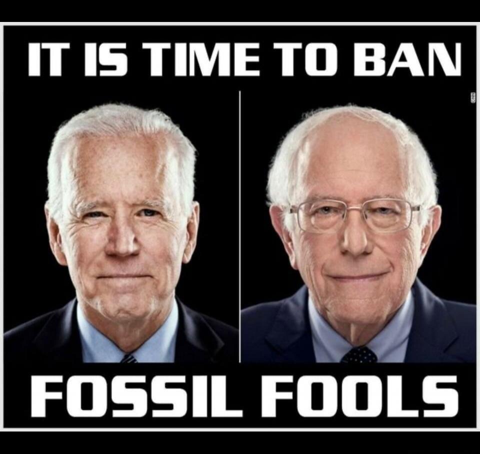 IT IS TIME TO BAN FOSSIL FOOLS