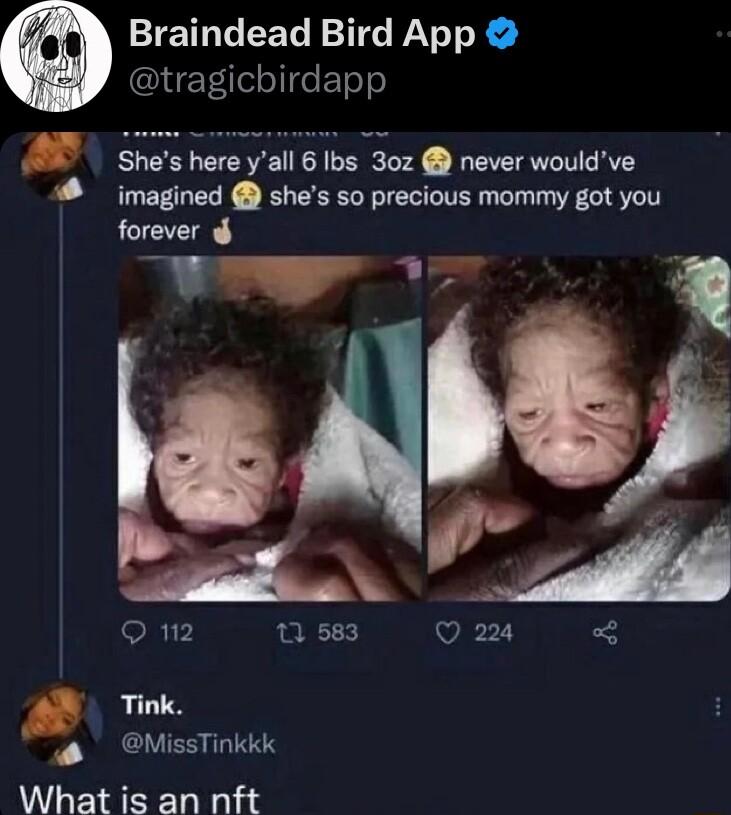 Braindead Bird App ETele e ETe o a Shes here yall 6 Ibs 30z never wouldve imagined shes so precious mommy got you forever m2 1 583 Q 224 Tink Y MissTinkkk What is an nft