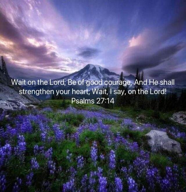 Wait on the Lord; Be of good courage, And He shall strengthen your heart; Wait, I say, on the Lord! Psalms 27:14