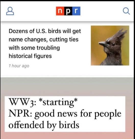 P2 nplr Q Dozens of US birds will get name changes cutting ties with some troubling historical figures WW3 starting NPR good news for people offended by birds