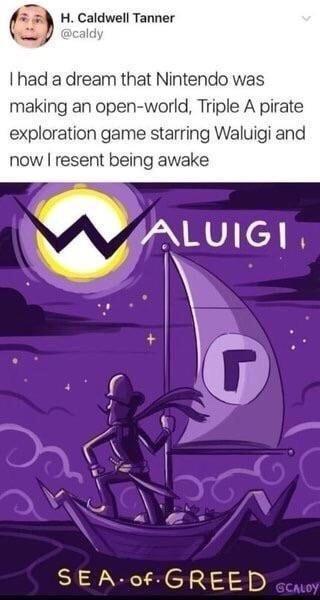 2 H Caldwell Tanner I had a dream that Nintendo was making an open world Triple A pirate exploration game starring Waluigi and now resent being awake SEA 0fGREED