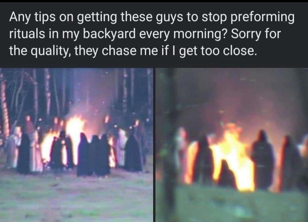 Any tips on getting these guys to stop preforming rituals in my backyard every morning Sorry for the quality they chase me if get too close