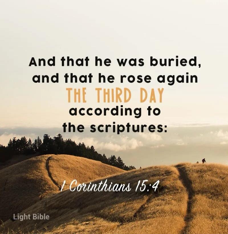 And that he was buried, and that he rose again THE THIRD DAY according to the scriptures: 1 Corinthians 15:4 Light Bible