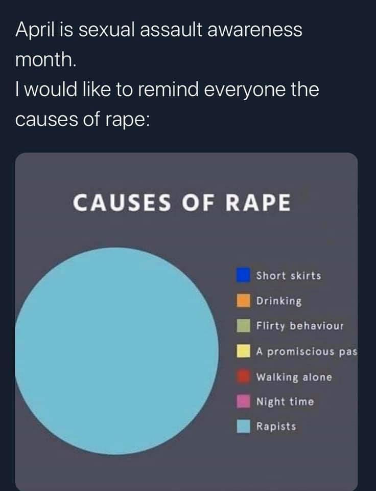 April is sexual assault awareness month would like to remind everyone the causes of rape CAUSES OF RAPE Short skirts M orinking Il Flirty behaviour B A promiscious pas Walking alone I Night time B Rapists