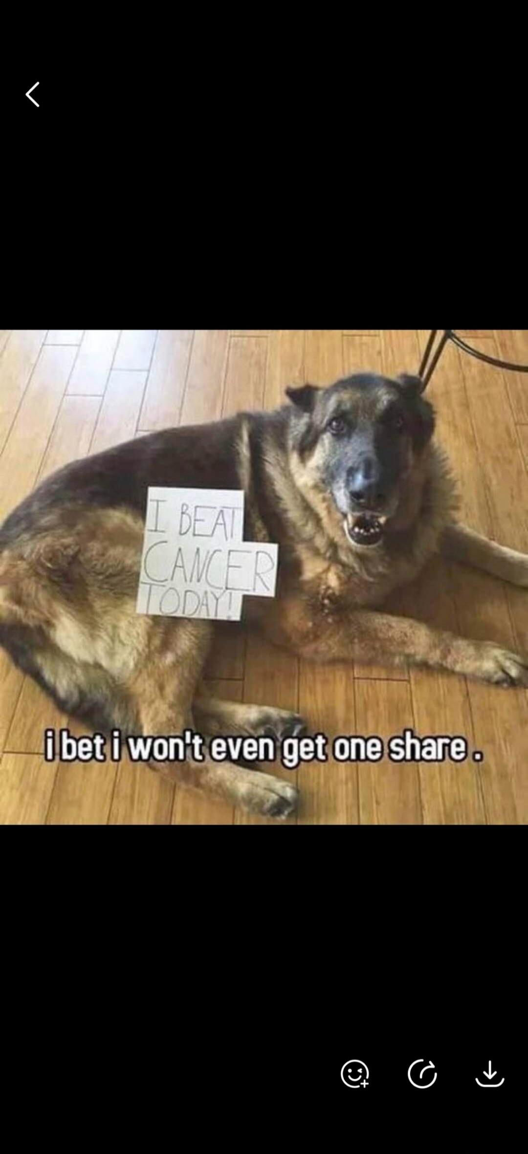 I BEAT CANCER TODAY! i bet i won't even get one share.