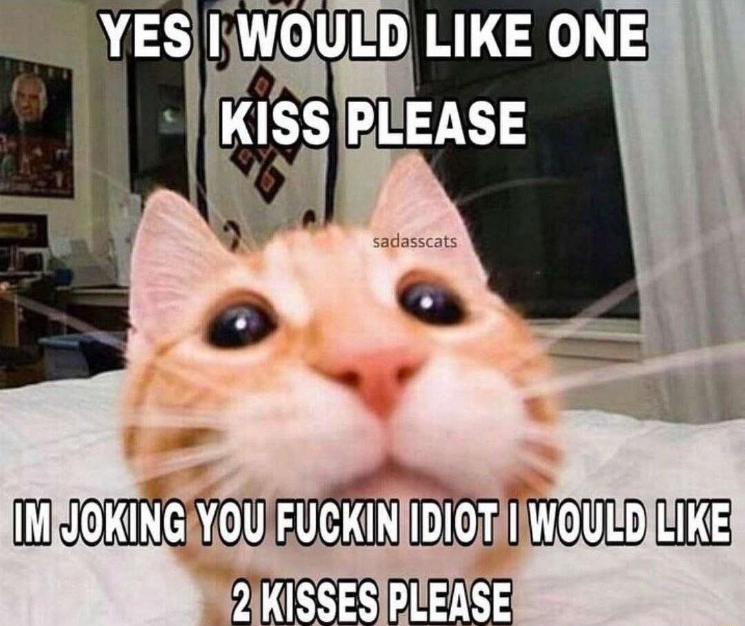IMYGKINGAYOUIFUCKINIIDIOTIWOUIDILIKE 2IKISSESIPLEASE